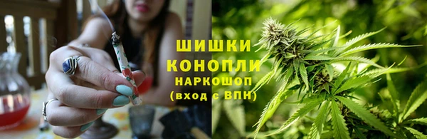 хмурый Каменногорск