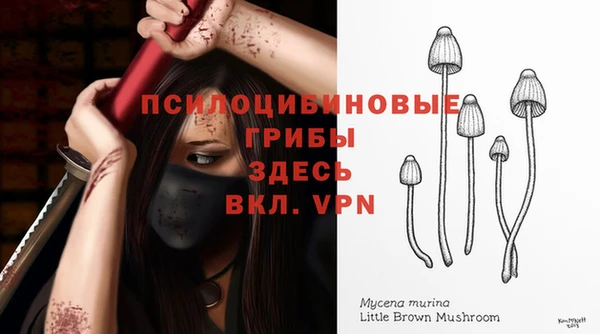COCAINE Каменка