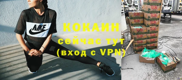хмурый Каменногорск