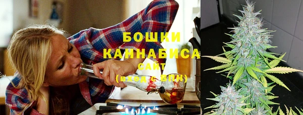 хмурый Каменногорск