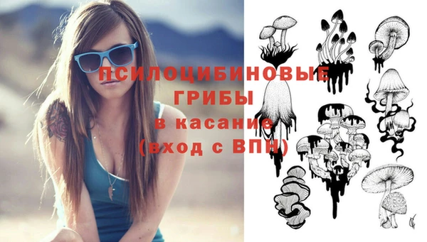 хмурый Каменногорск