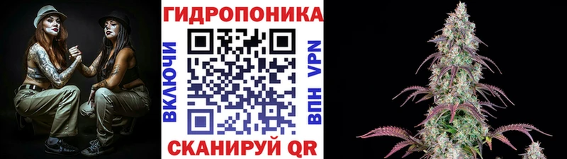 Купить где Порхов Бошки марихуана Bruce Banner